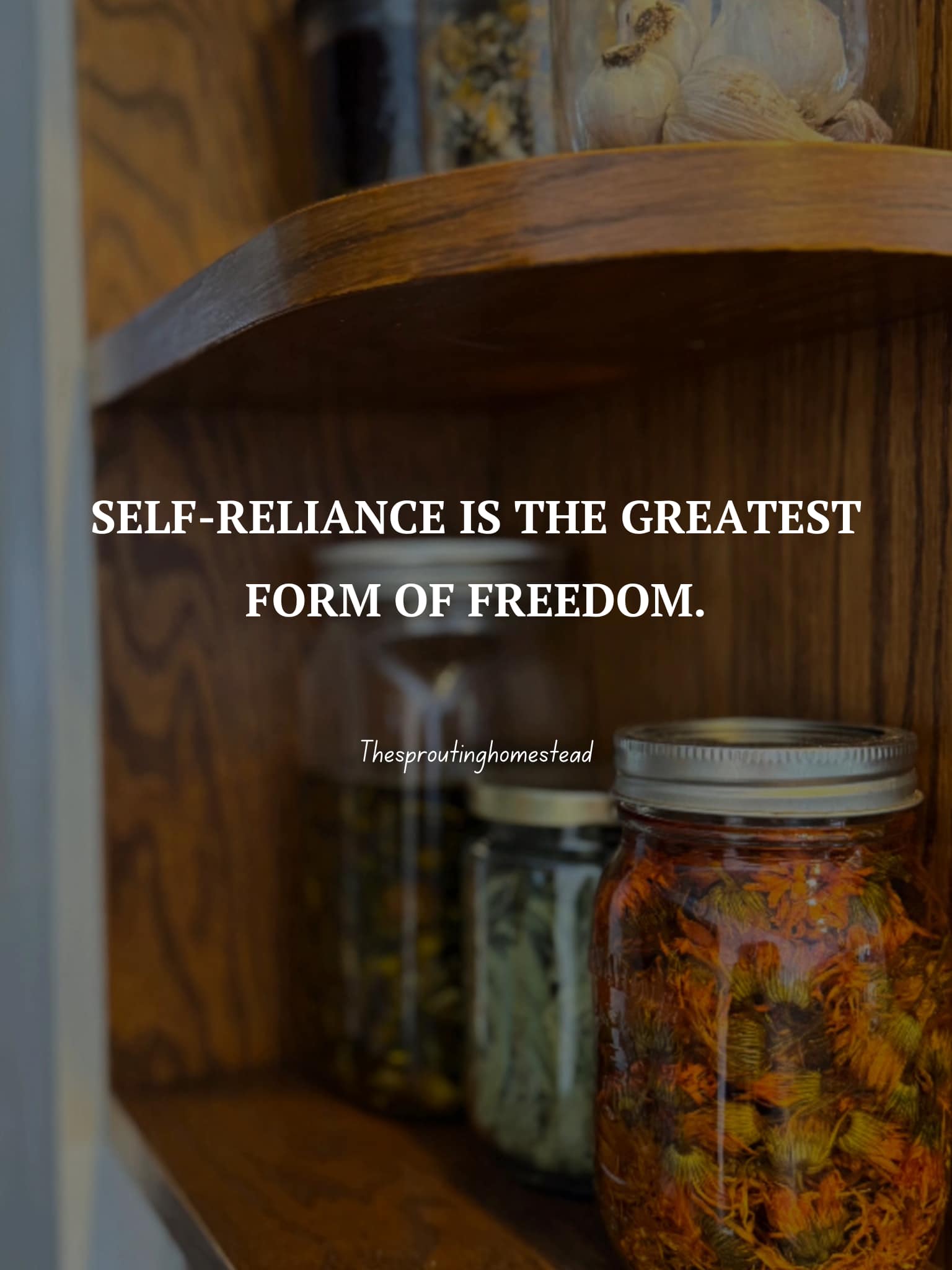 The Sprouting Homestead - The more self-reliant you are, the more free ...
