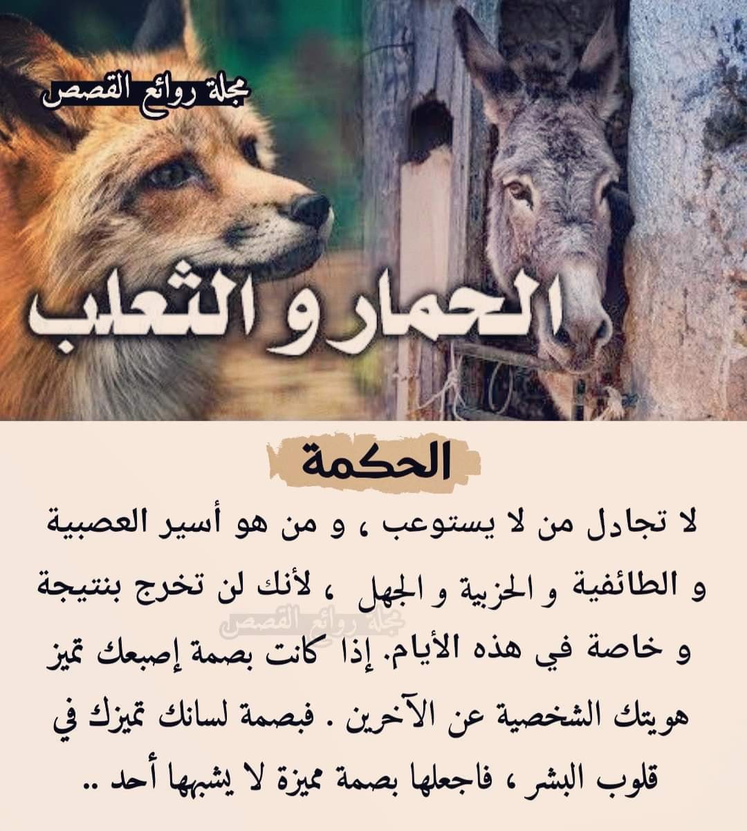 يقال أنّه إختلف #الذئب مع الحمار ذات... - مجلة روائع القصص | Facebook