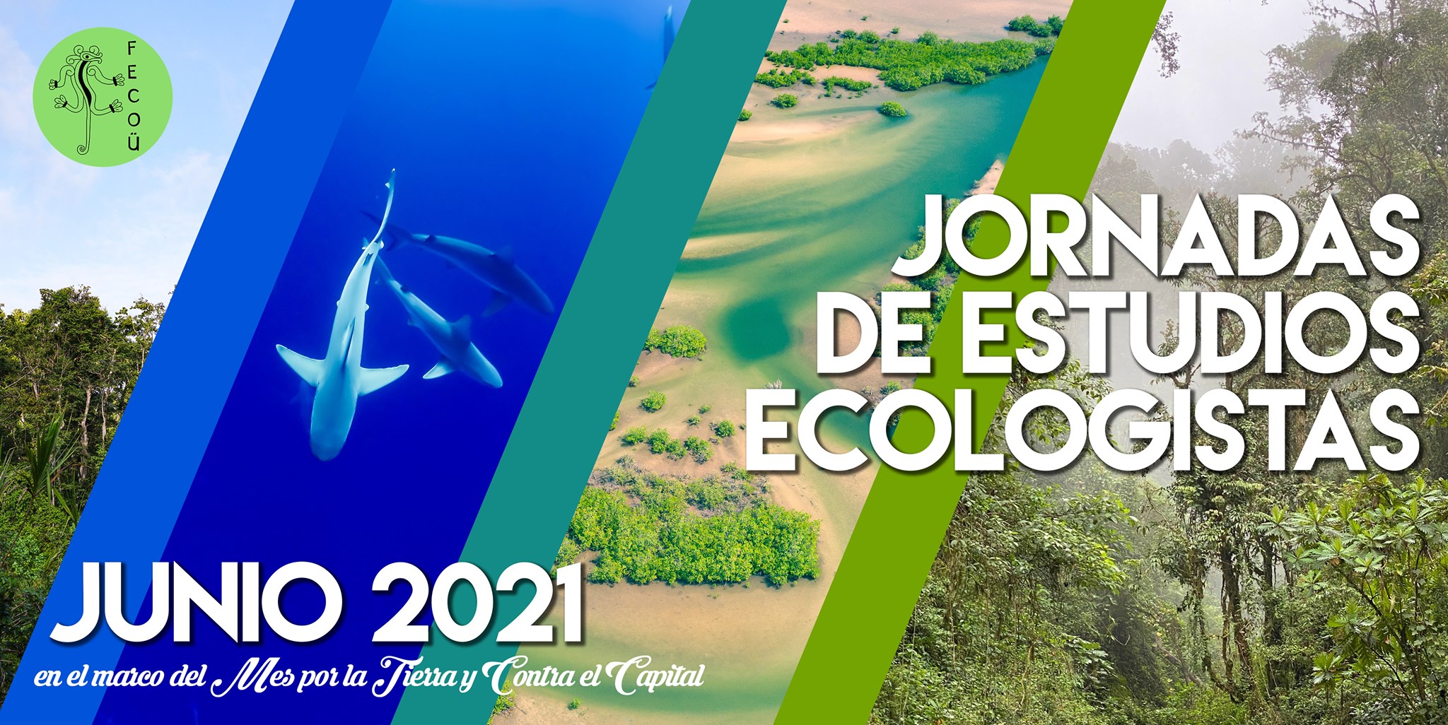 RedESS Costa Rica added a new photo —... - RedESS Costa Rica