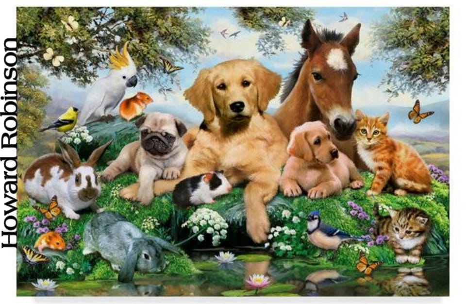 Pet Party