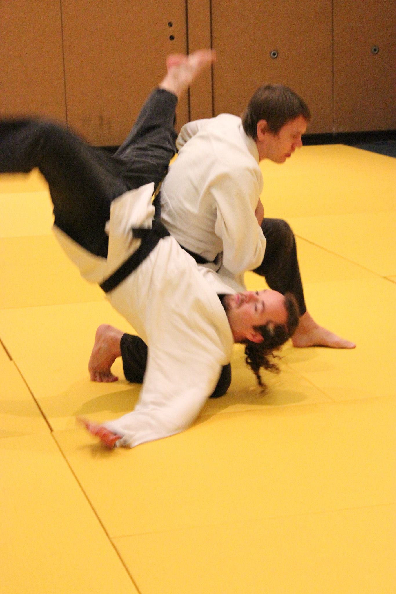Westside Family YMCA Danzan-Ryu Jujitsu