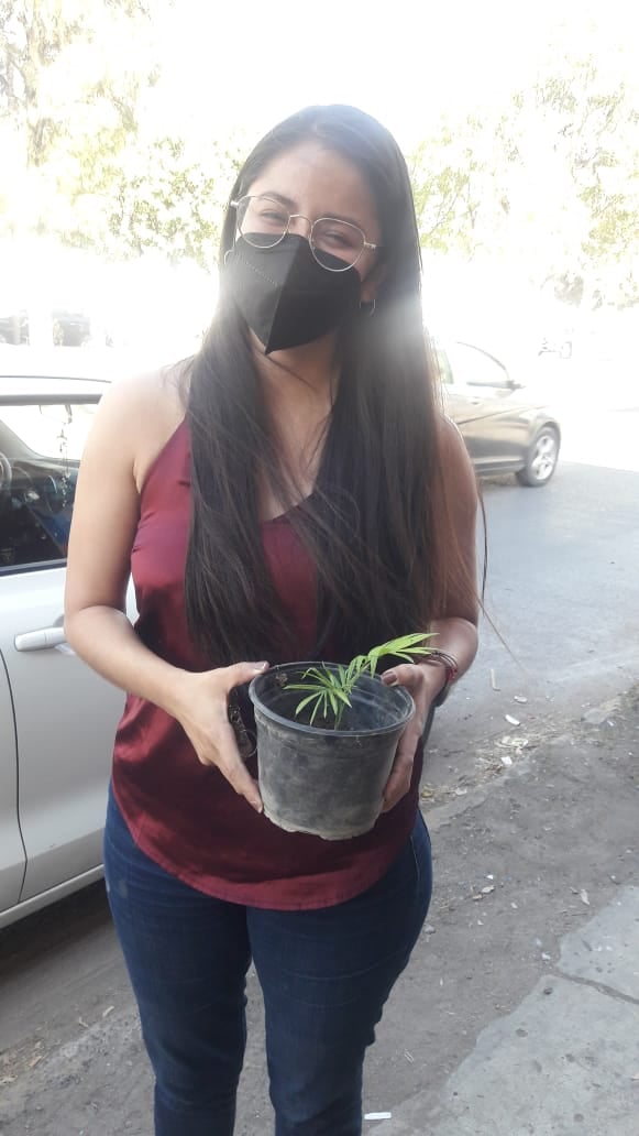 EduReciclaje AC - Ya la primera que se lleva su plantita traidas desde ...