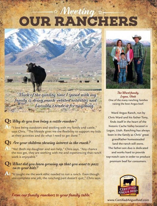 Ward Angus Ranch | Logan UT