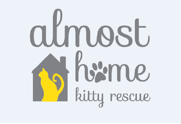 Our boy, Timbo, has been settling in at the rescue and is still on the ...