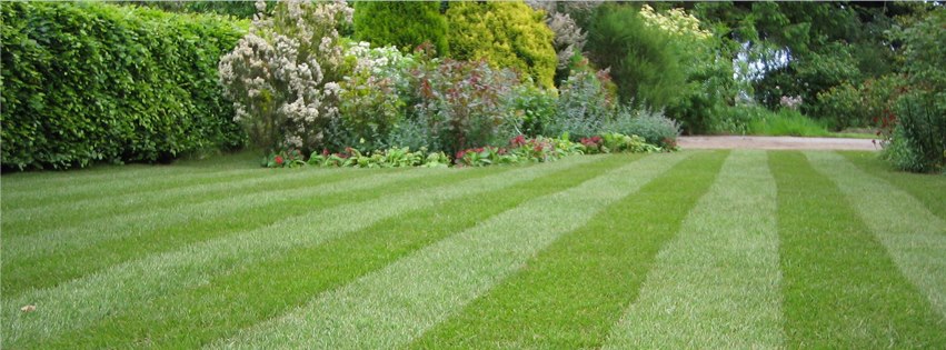Execu Cuts Lawn and Landscape Specialists | Lawrenceburg KY