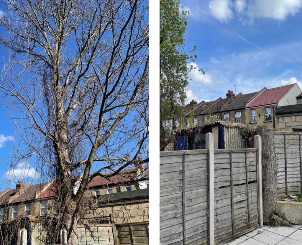 A Clean & Professional Service!... - Howden Tree Care | Facebook