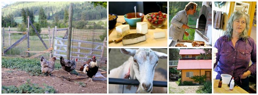 Mountain Valley Garlic | Facebook