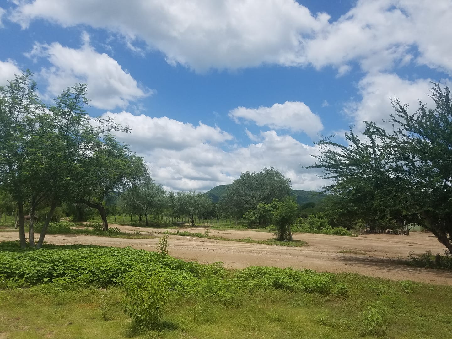 Rancho El Pajarito | Sinaloa Municipality