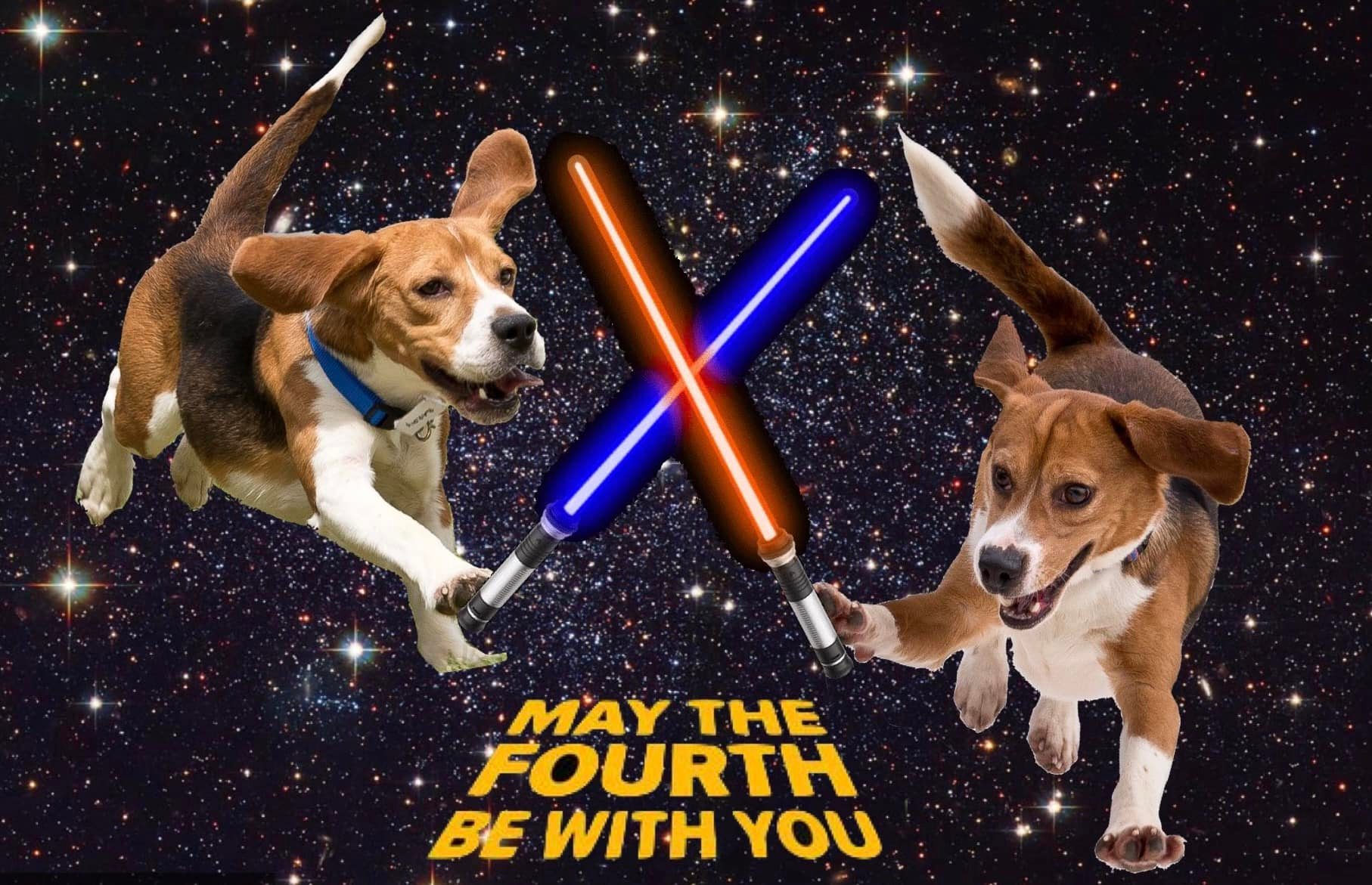 May the 4th be with you! Happy Star Wars Day from all of us at BFP 