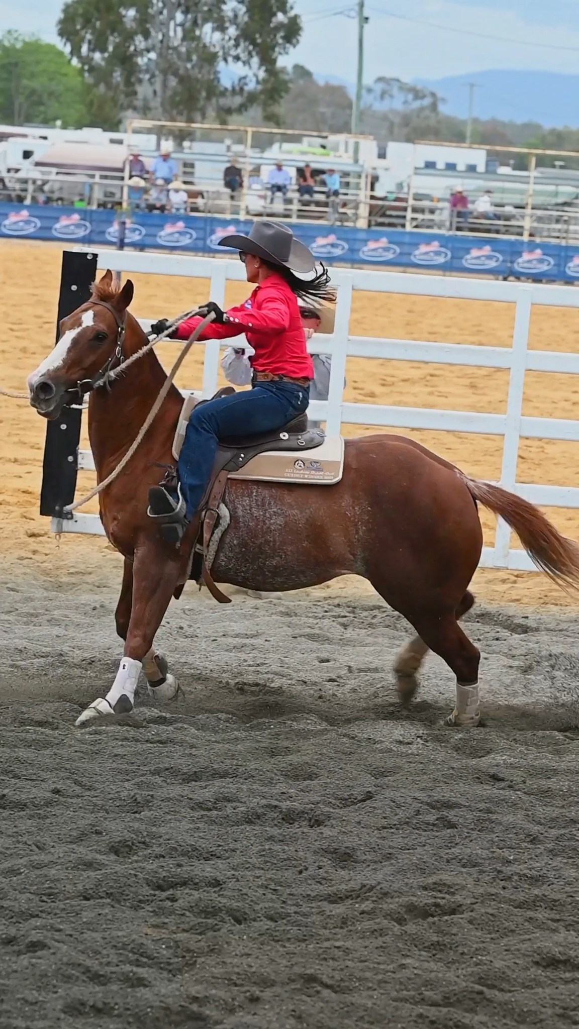 Warwick Rodeo | Warwick QLD