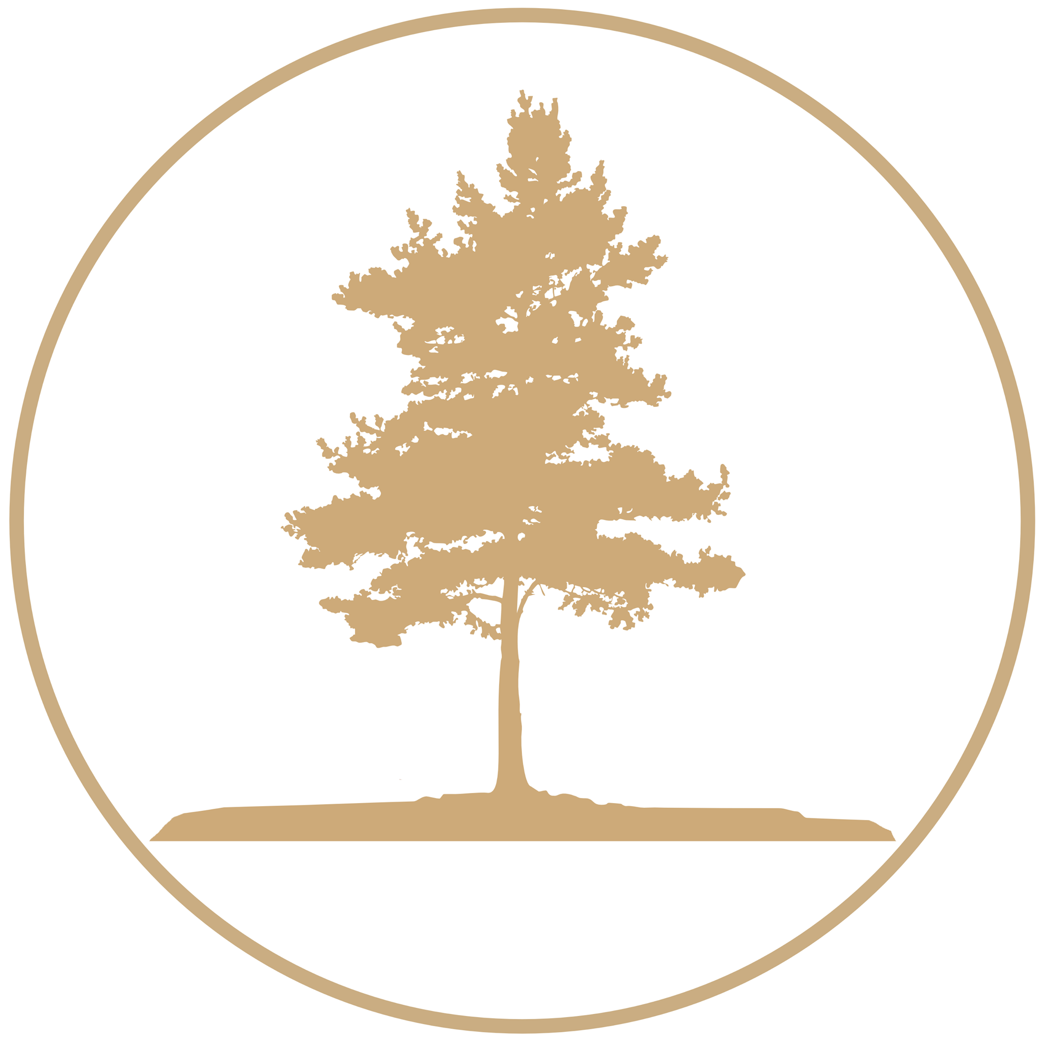 Friday, October 31, 2025 - Daily Devotions with Pastor Kuhn | Riverview ...