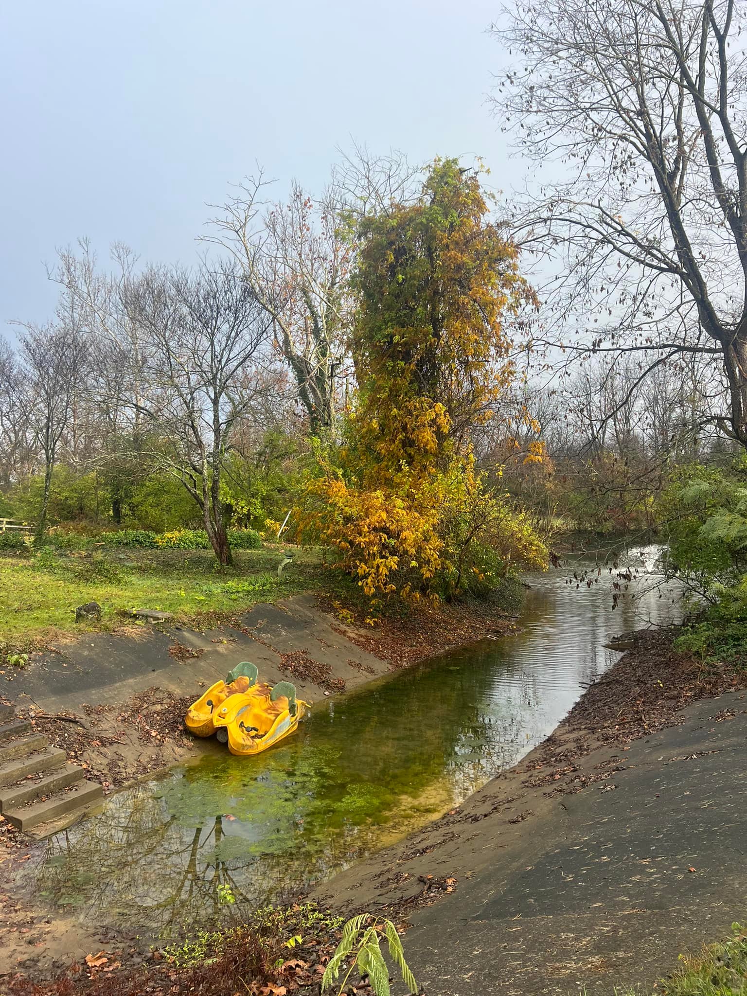Big Dawg Tree Service & Stump Grinding | Mount Sterling KY