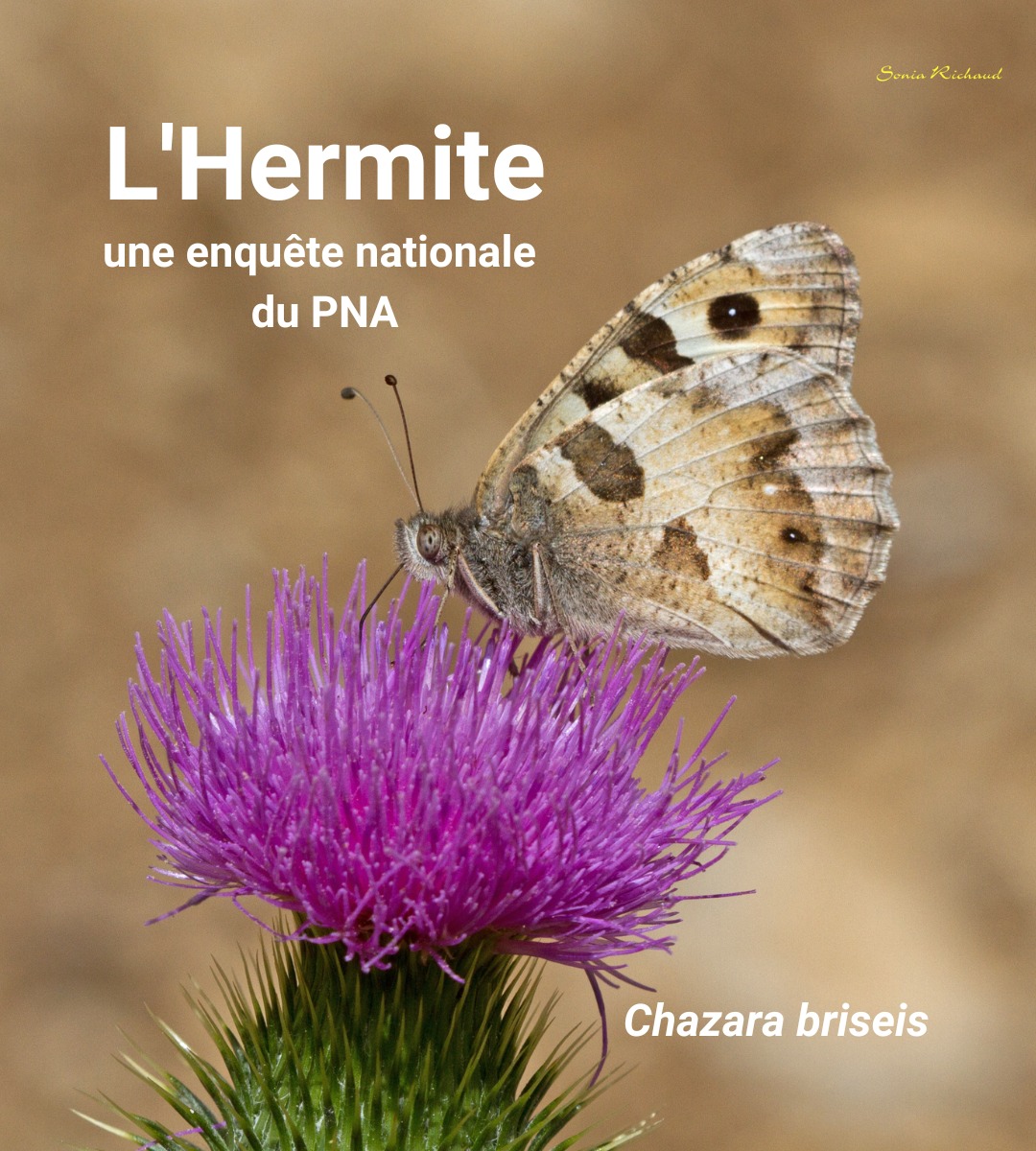 Office pour les insectes et leur environnement (Opie) - Avis aux ...