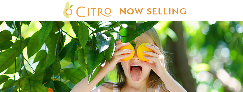 Citro Designed by Tri Pointe Homes | Fallbrook CA