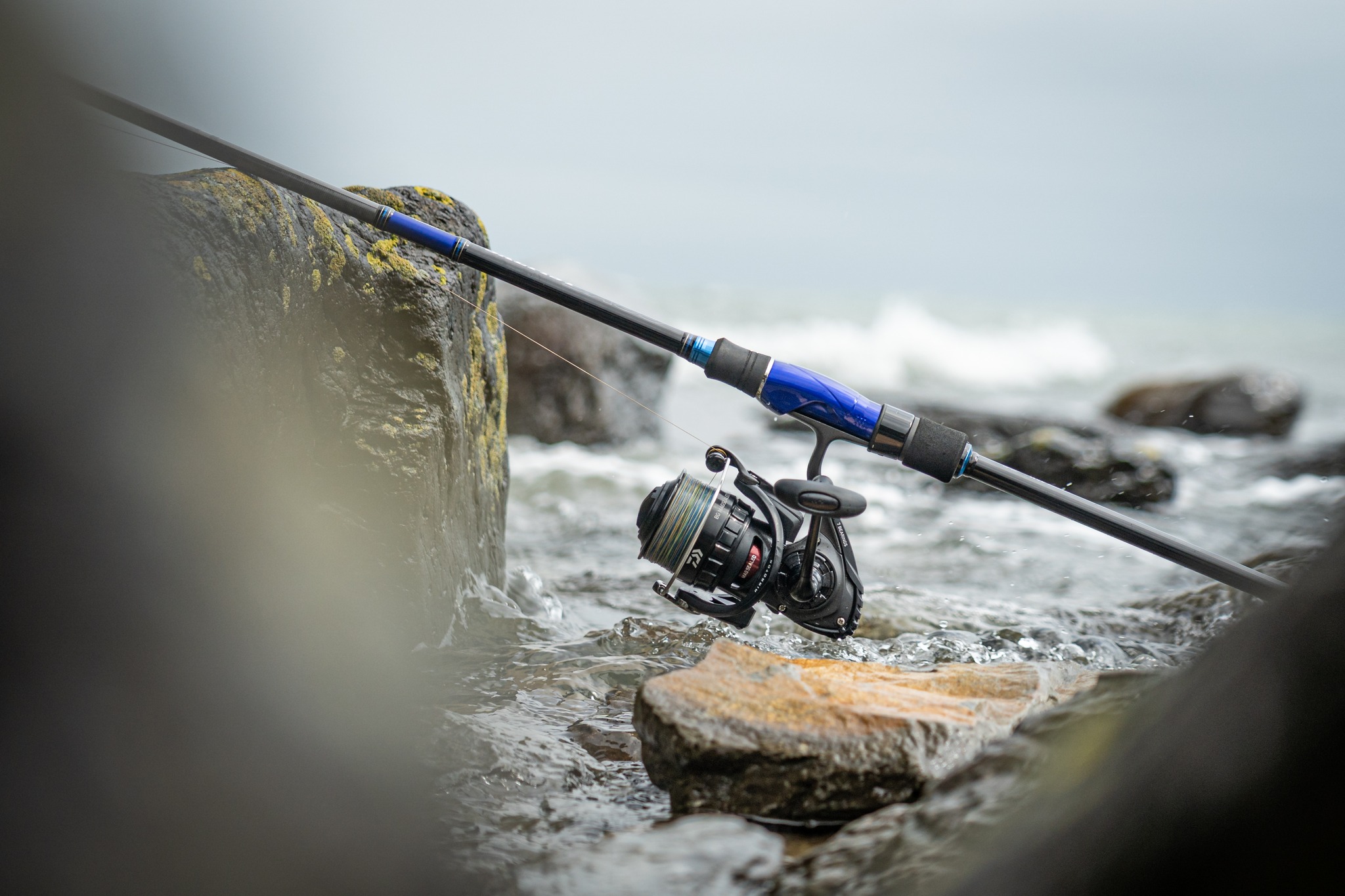 Daiwa UK - The BG MAGSEALED reel comes in seven sizes and... | Facebook