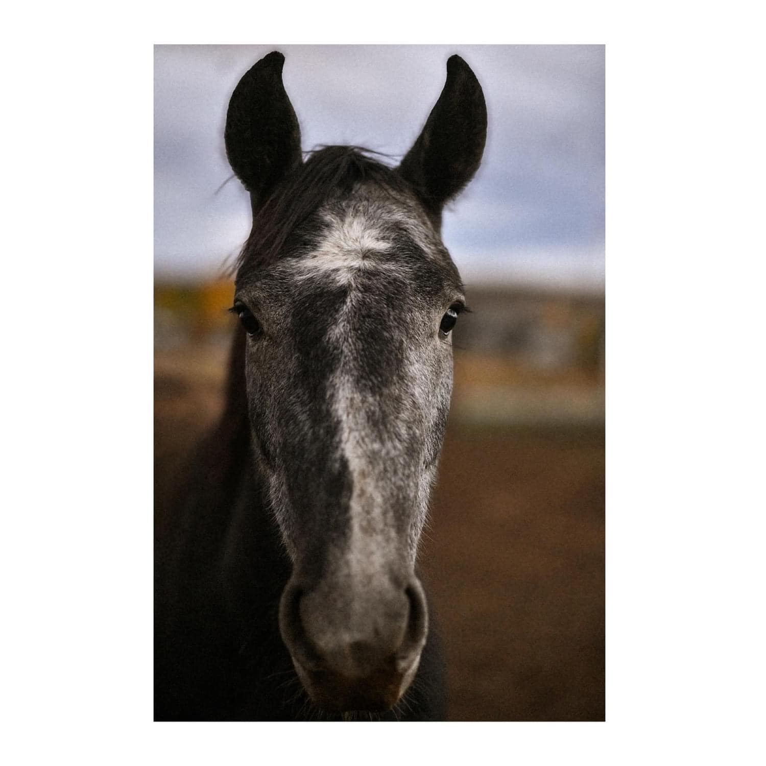 FinBee TAC | Cedar City UT