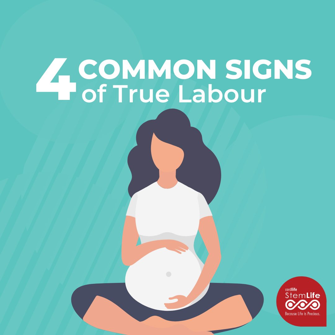 StemLife Berhad - It’s time to learn about the 4 common...