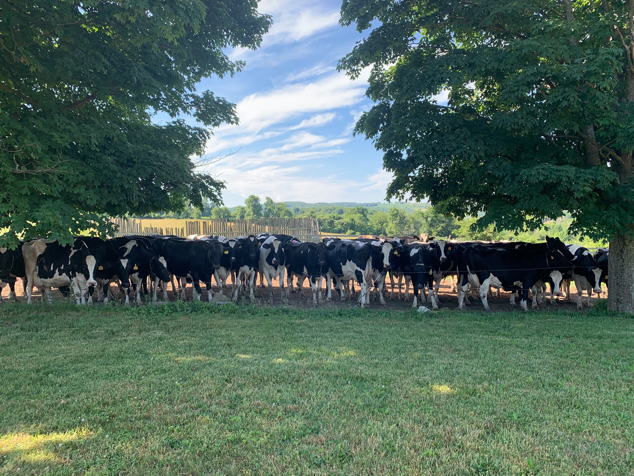 Ronnybrook Farm Dairy