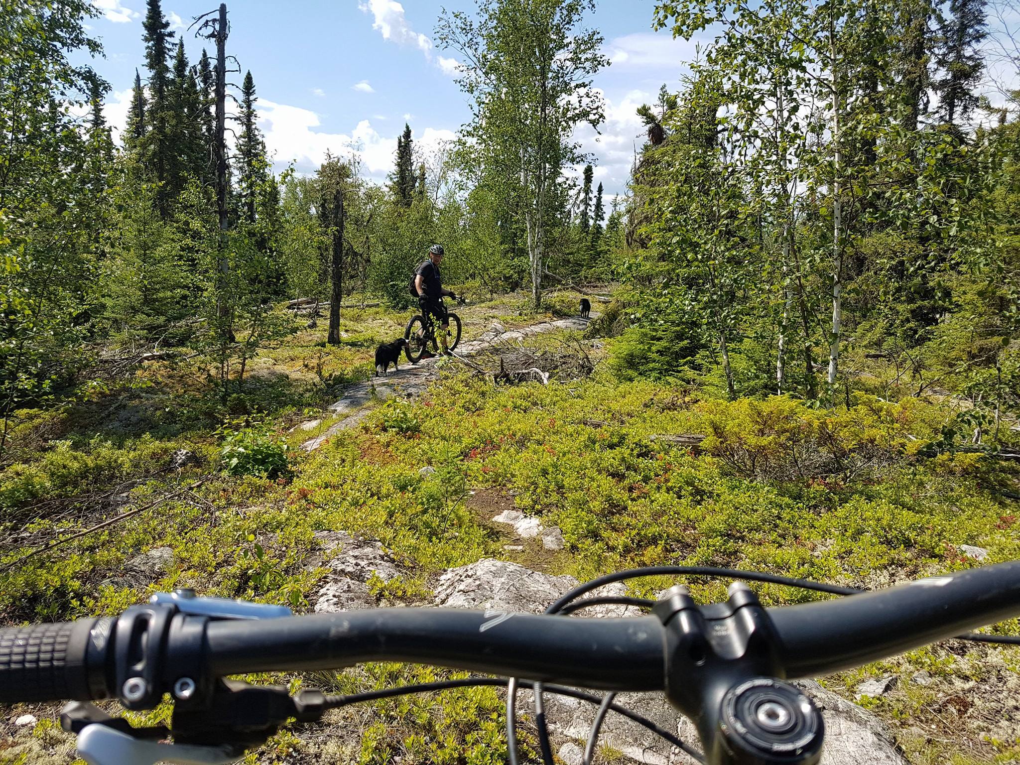 Boreal - Now that we are back to regular January weather, this # ...