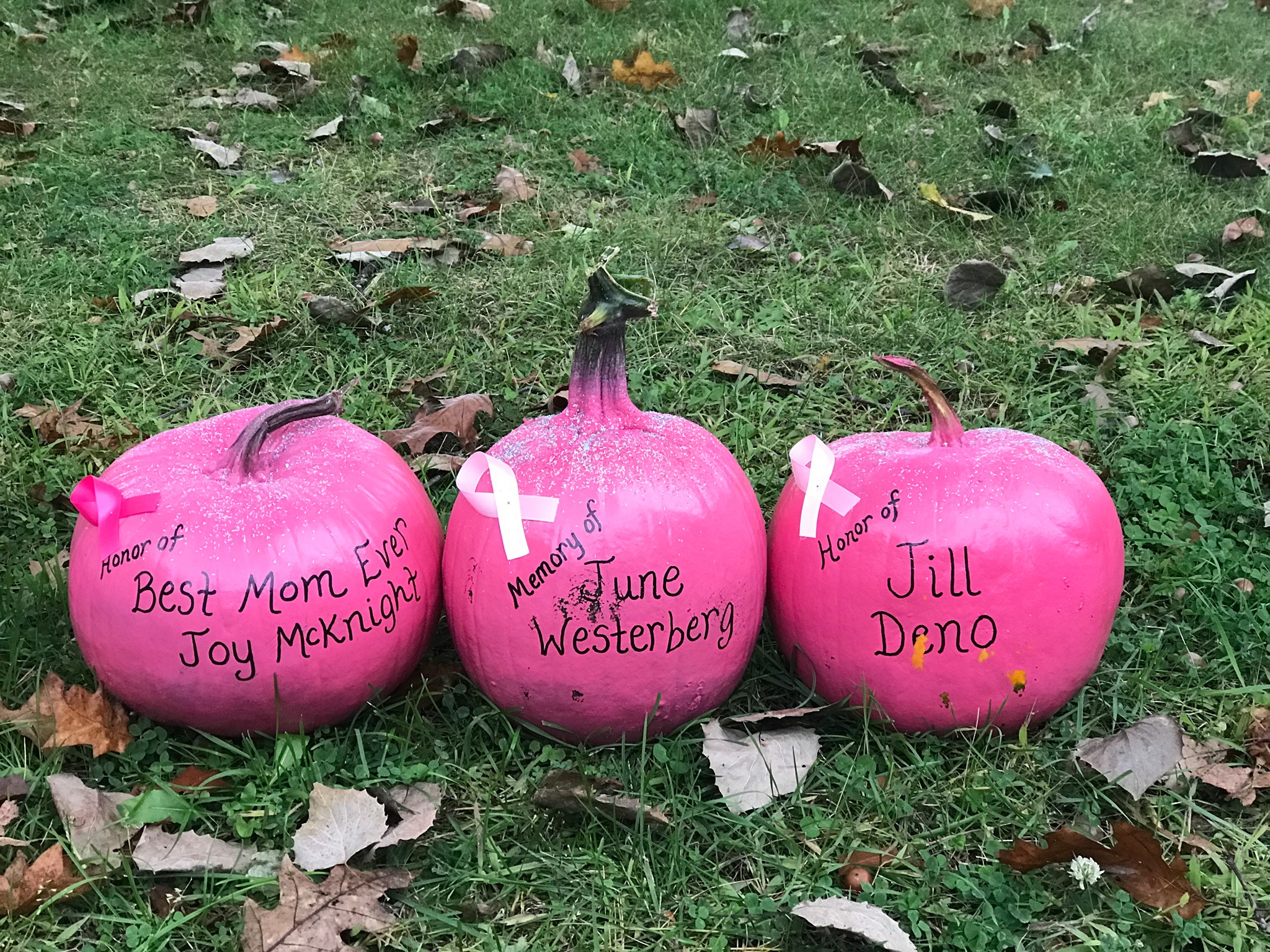 Pink Pumpkin of Delta County