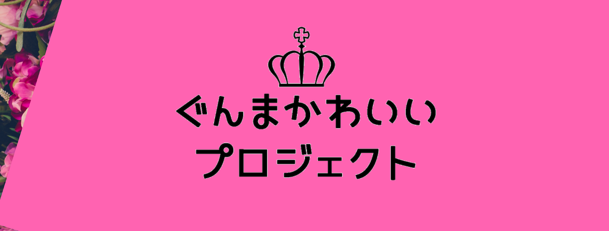 ぐんまかわいいプロジェクト (@gunmakawaii.pjt) • Facebook