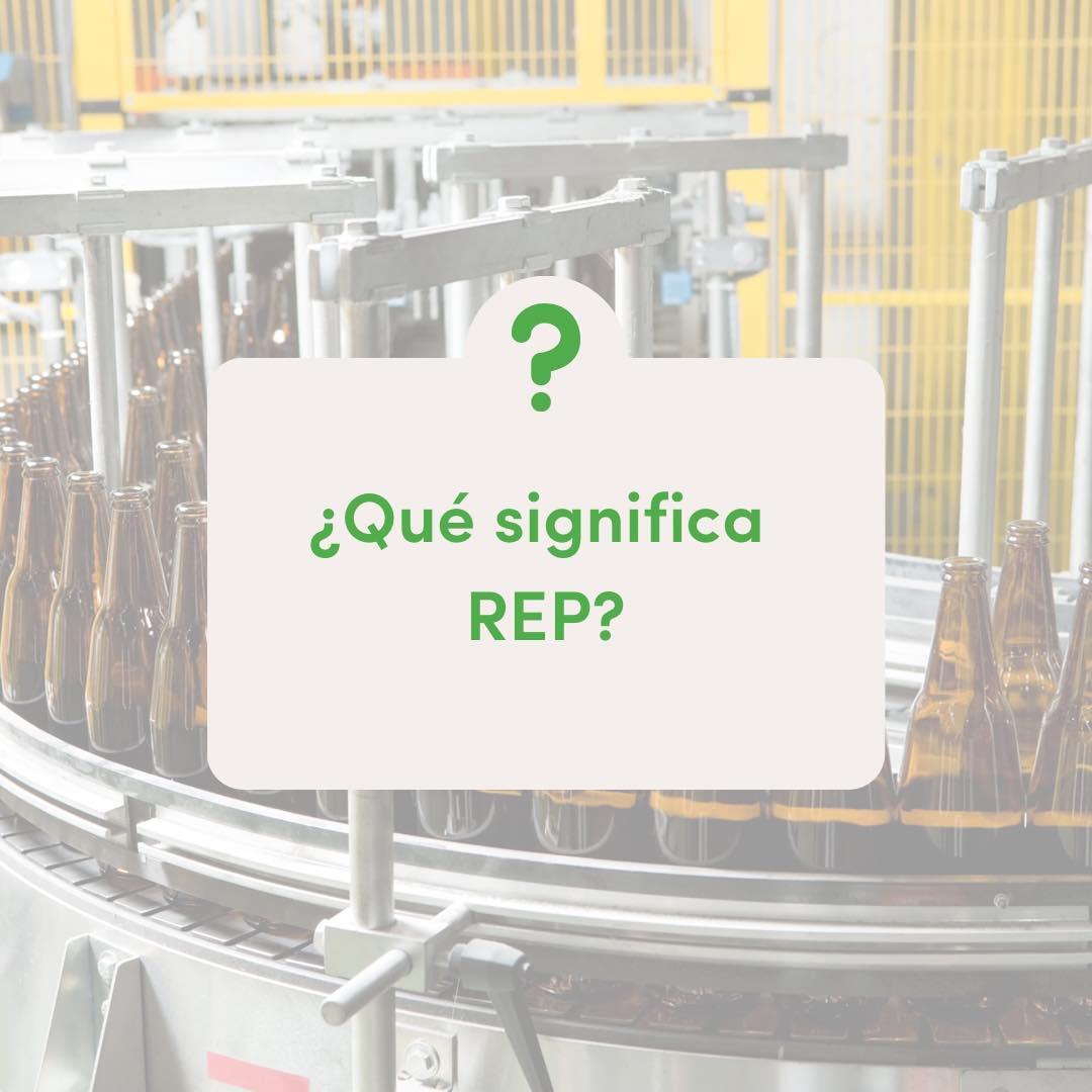 Sustentar - ¿Sabés qué significa REP? 👉Son las siglas de...