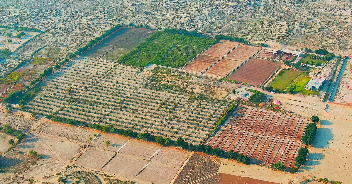 HABIB FARM | Multan