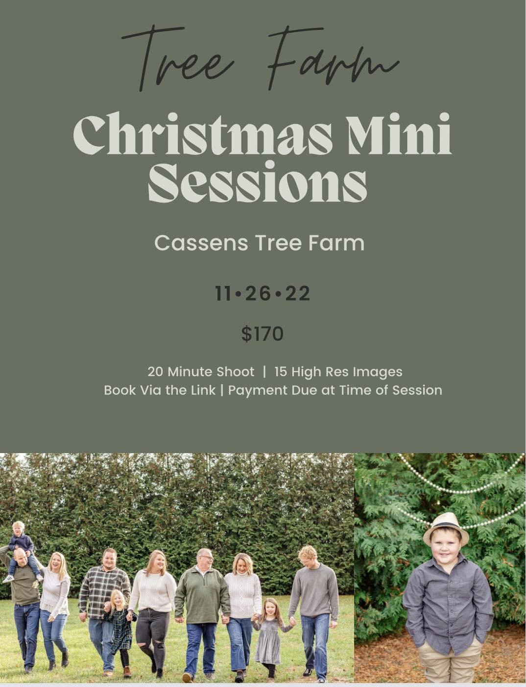 ALC Photography - TREE FARM CHRISTMAS MINIS! 🎄 Book using... | Facebook
