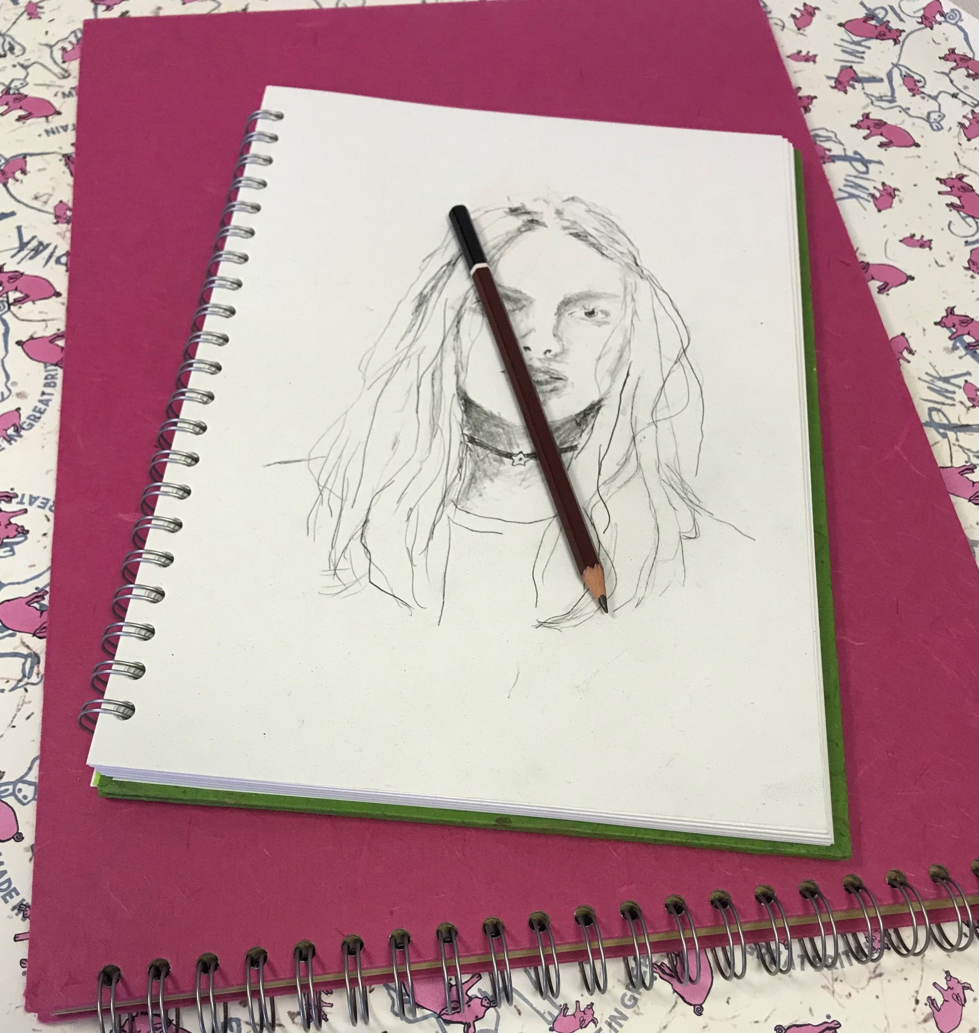 Pink Pig share your artwork with us ! | 'Hollyhocks, Daisy's and ...