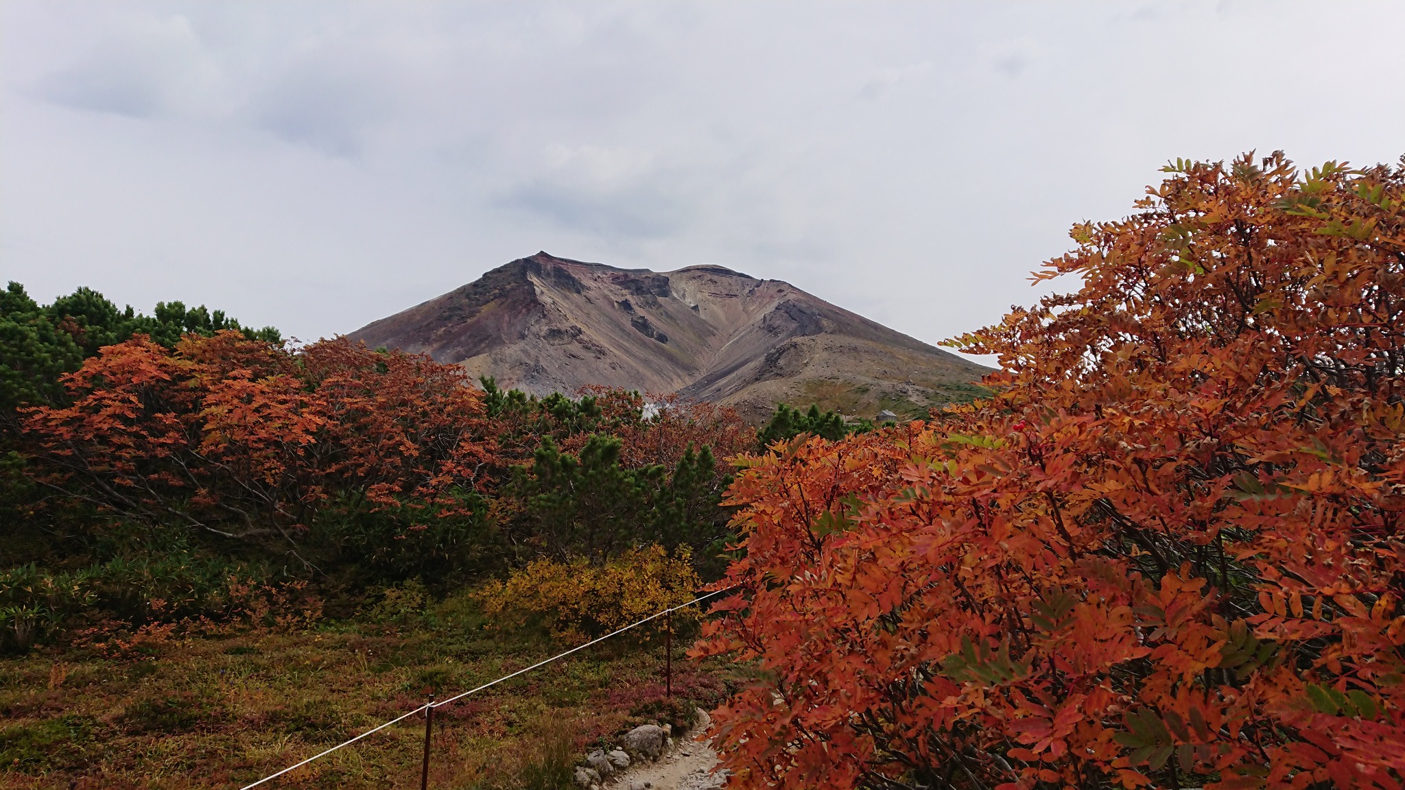 Matane Japan - ⛰Asahidake ใบไม้เปลี่ยนสีเริ่มขึ้นแล้ว🍁🍂 | Facebook