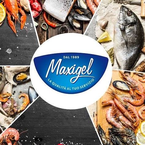 Maxigel srl - Maxigel srl added a new photo.