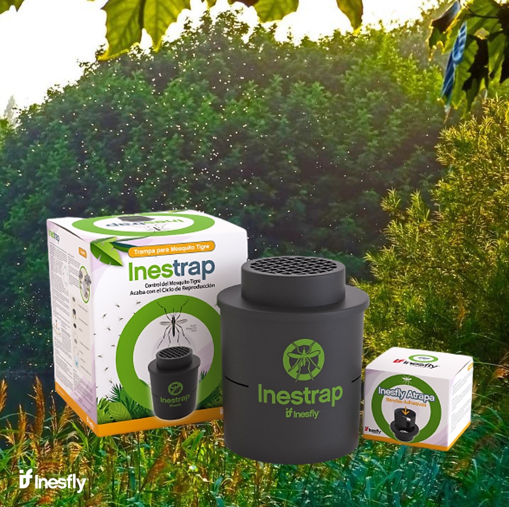 Inesfly Corp. | Paiporta