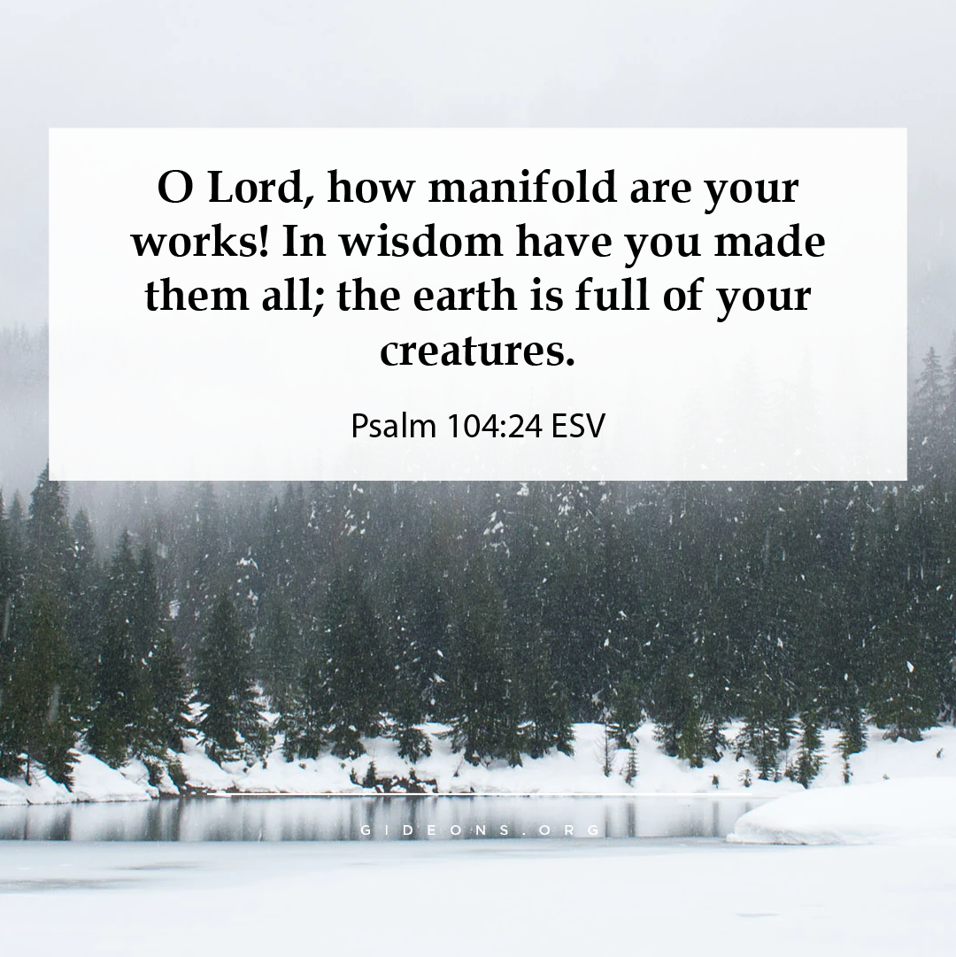 The Gideons International - The majesty and beauty of the Lord’s ...