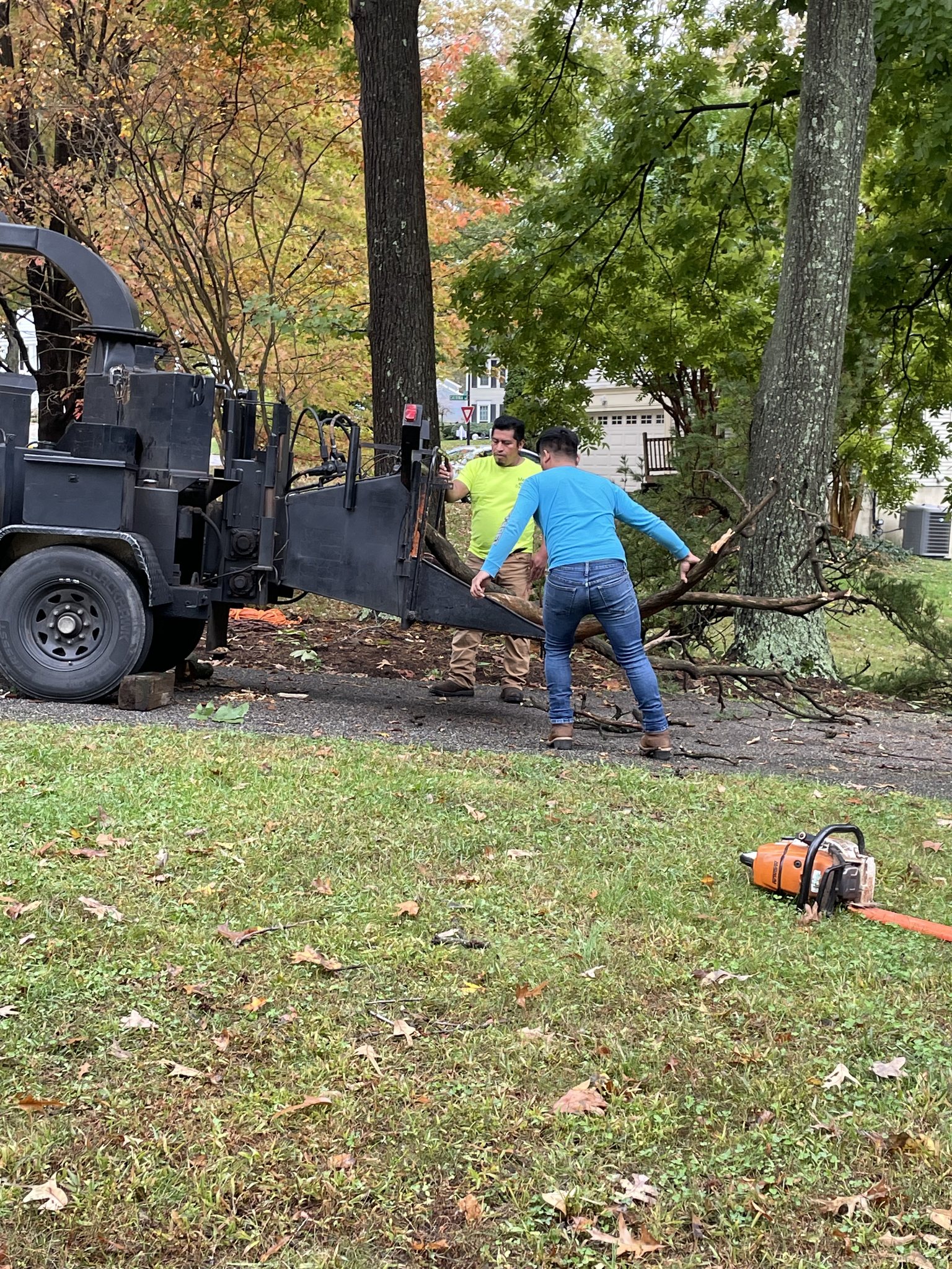Mendez Tree Professionals