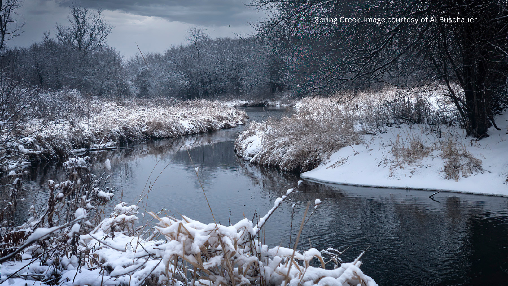 Flint & Spring Creek Watersheds Partnership | North Barrington IL