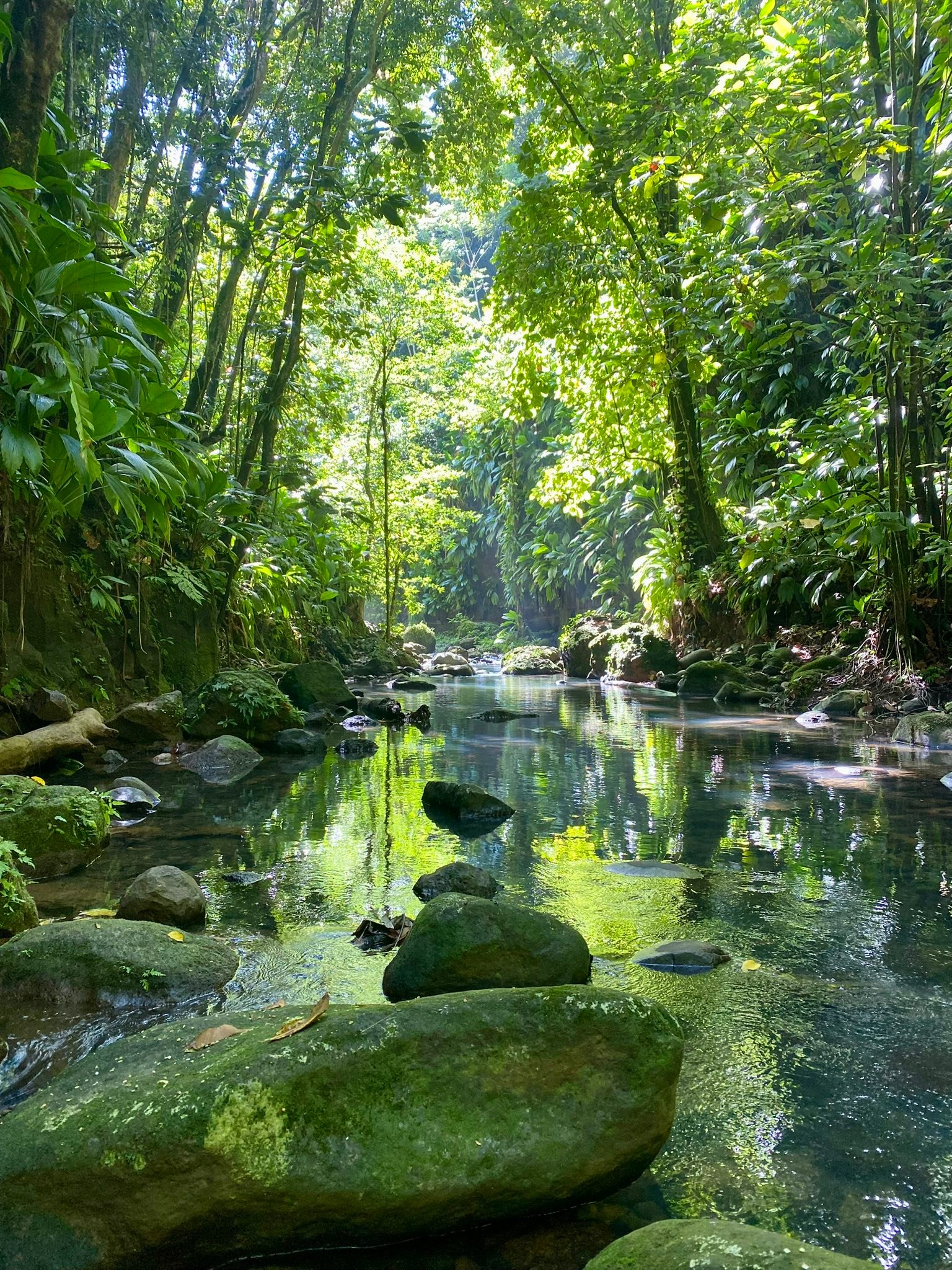 la-papaye-d-or-saint-fran-ois-guadeloupe