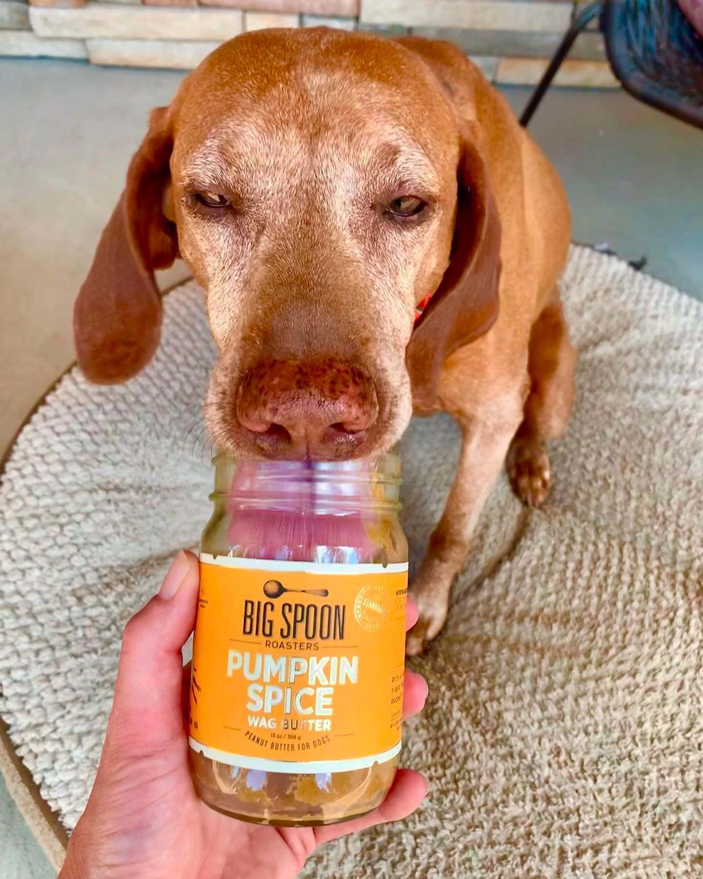 Have you noticed that our Wag Butter... - Big Spoon Roasters