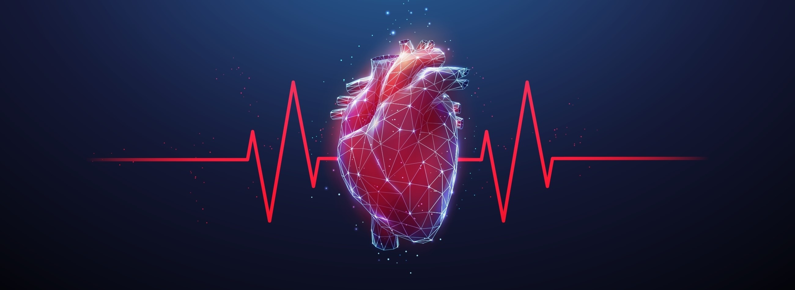 The Heart Warrior Project