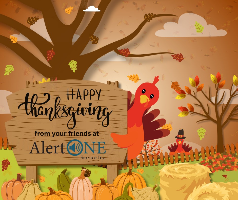 AlertOne Service Inc. | Ozark MO