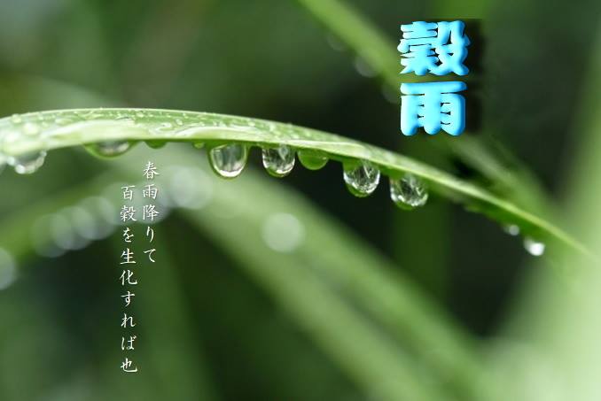 佐渡初荷 日本古美術 鐵壺 茶道具 Publicacoes Facebook