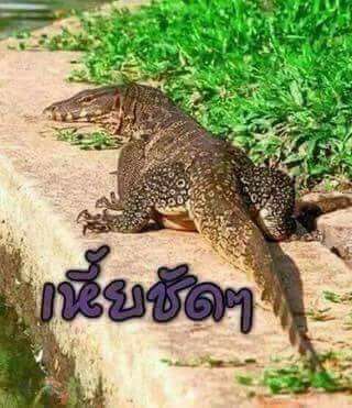 รั้วของชาติ - โถ่!