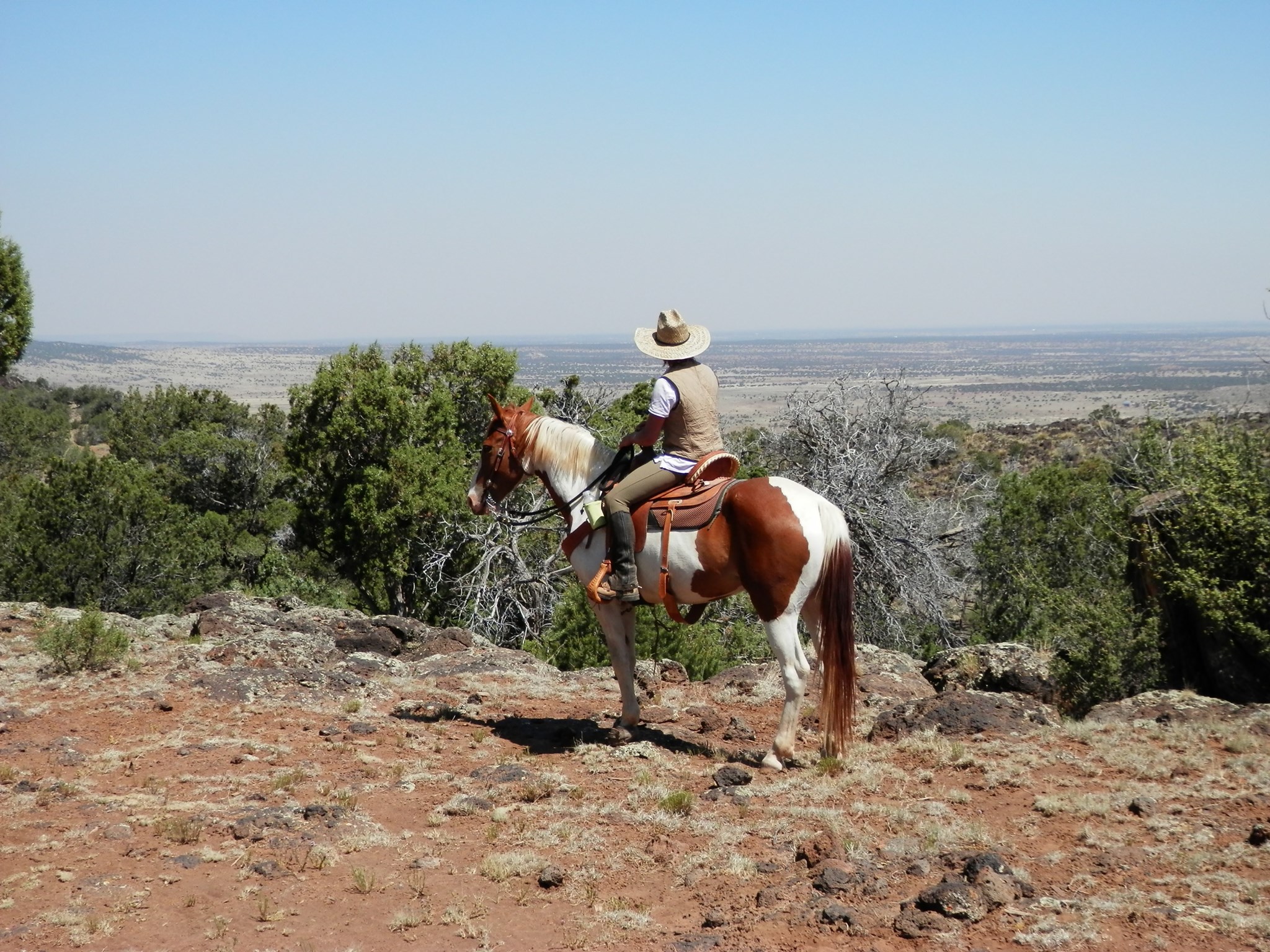 Woodenbridge Ranch
