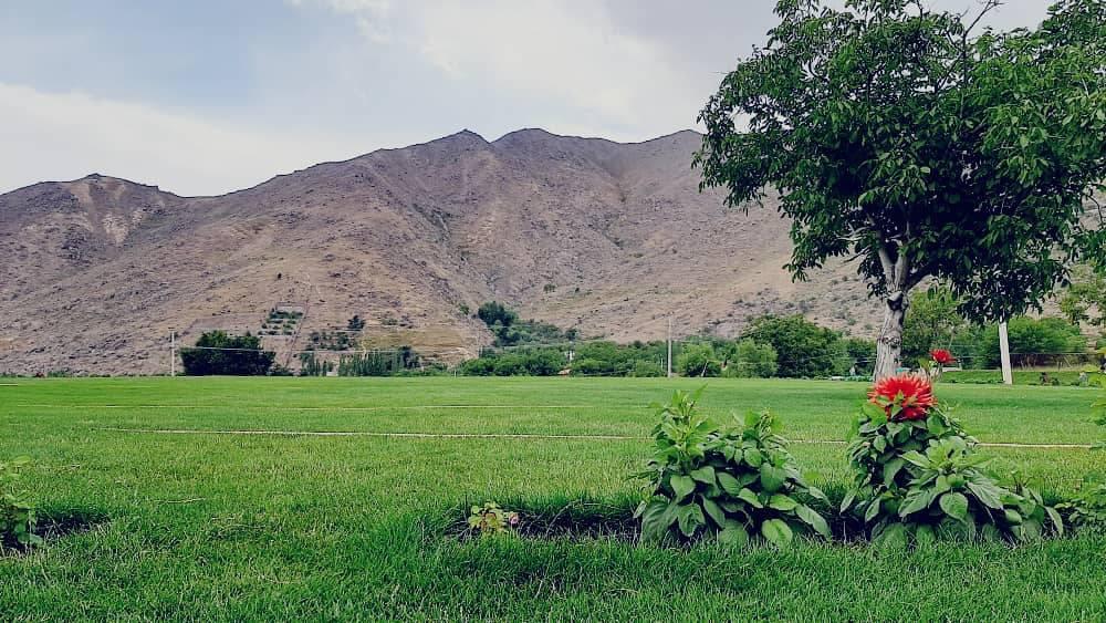 مینه