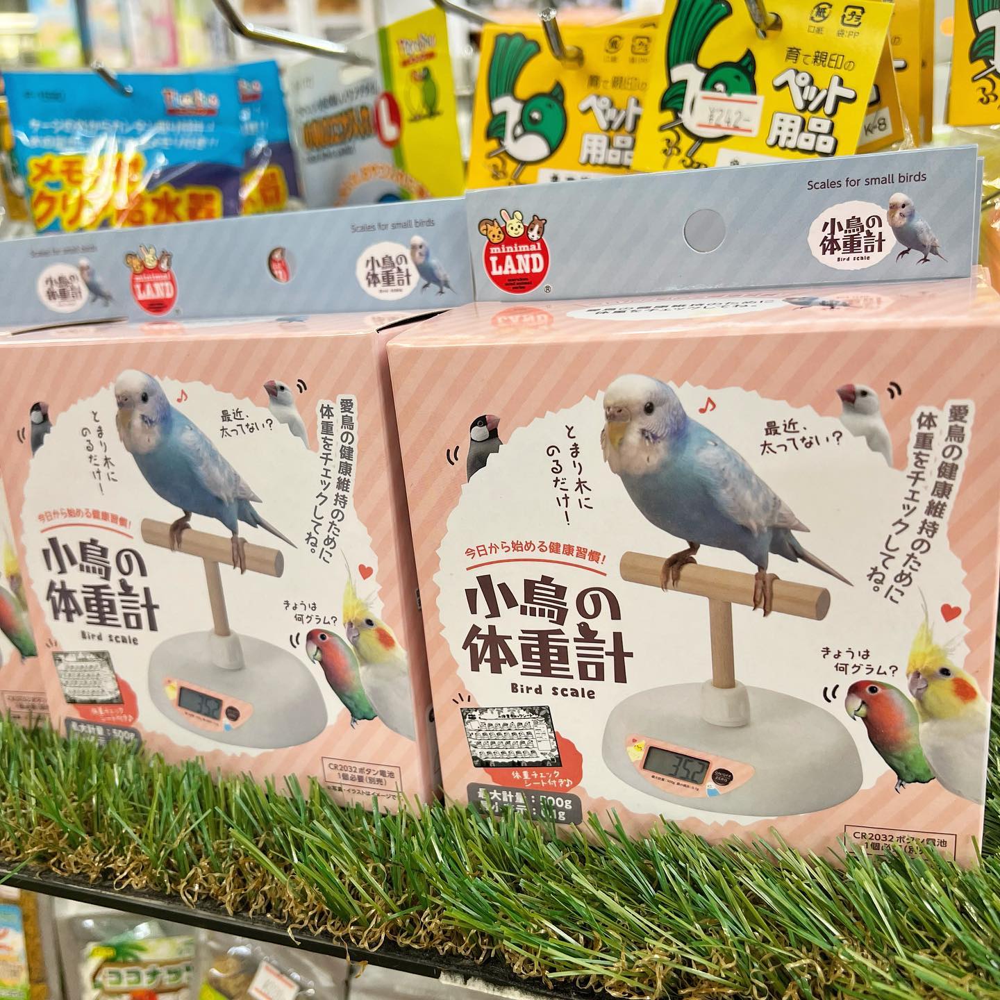 ペットショップ小泉 Facebook
