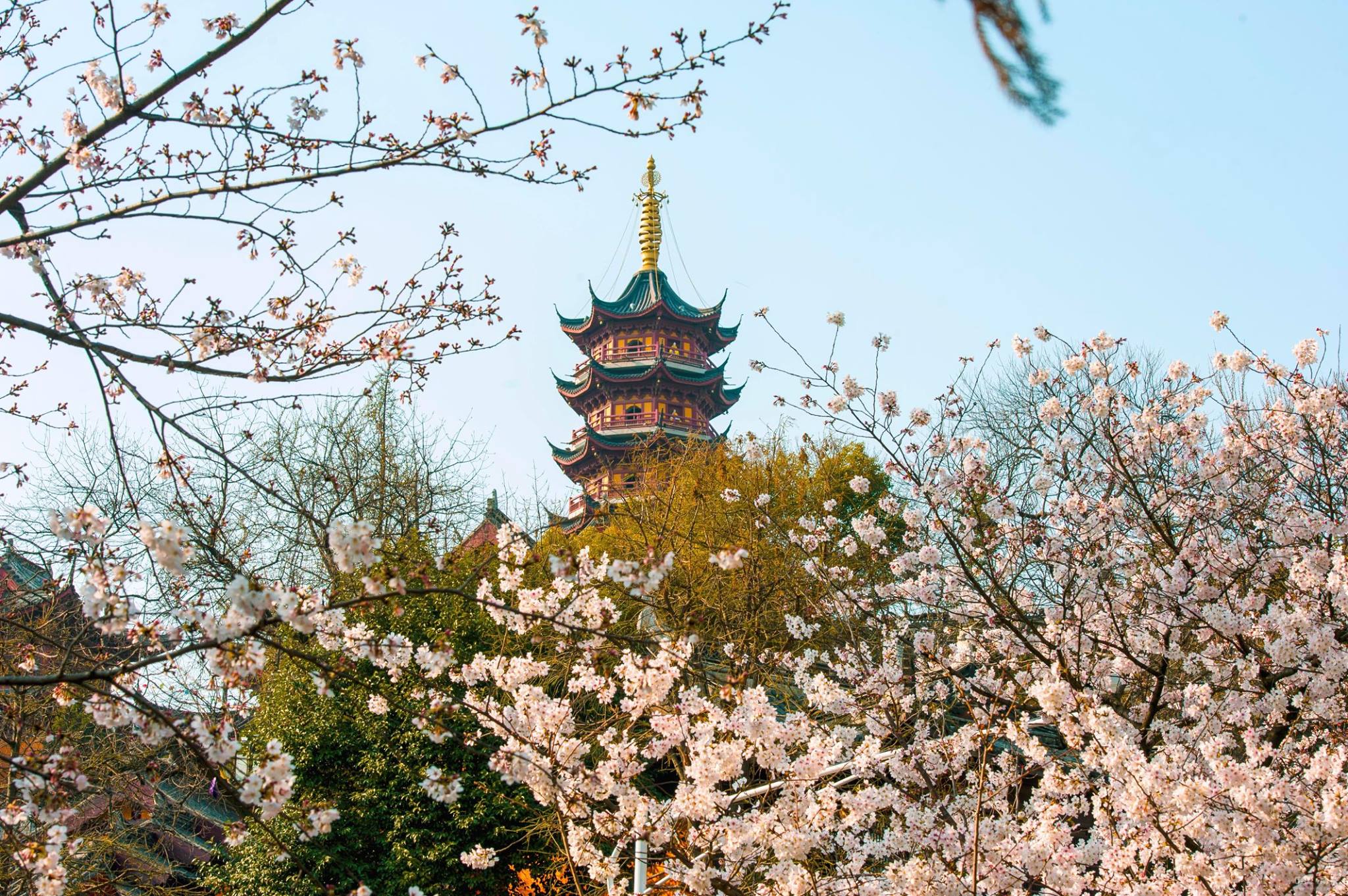 Travel Nanjing - During Spring, from late March to early... | Facebook