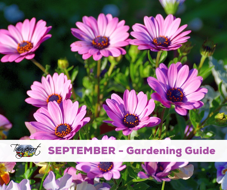 Tuingenoot - Gardening tips for the month of SEPTEMBER...