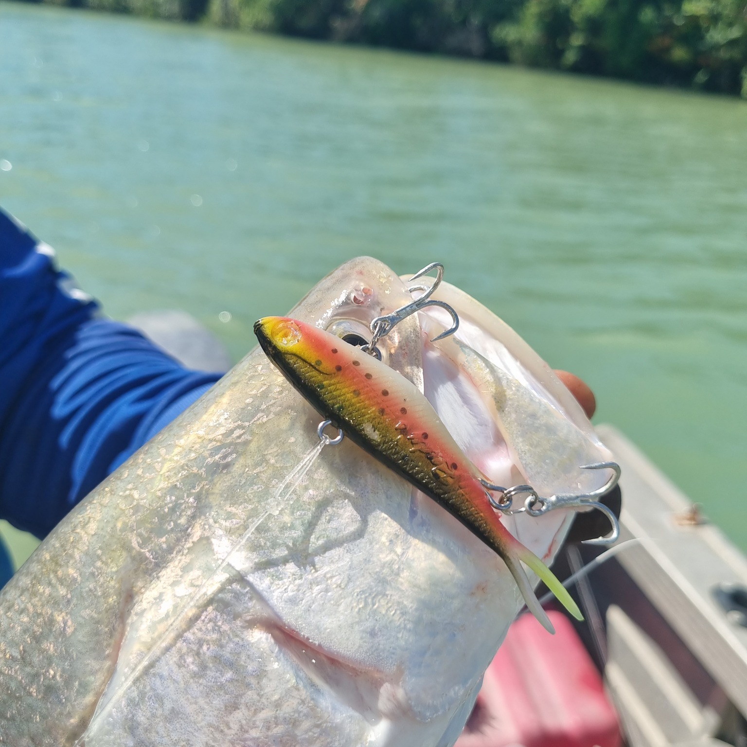 cape york fishing lures Kimberley - NT the BigMakk consistently draws explosive strikes from fish looking to ambush prey on the surface Tracking down giants with the