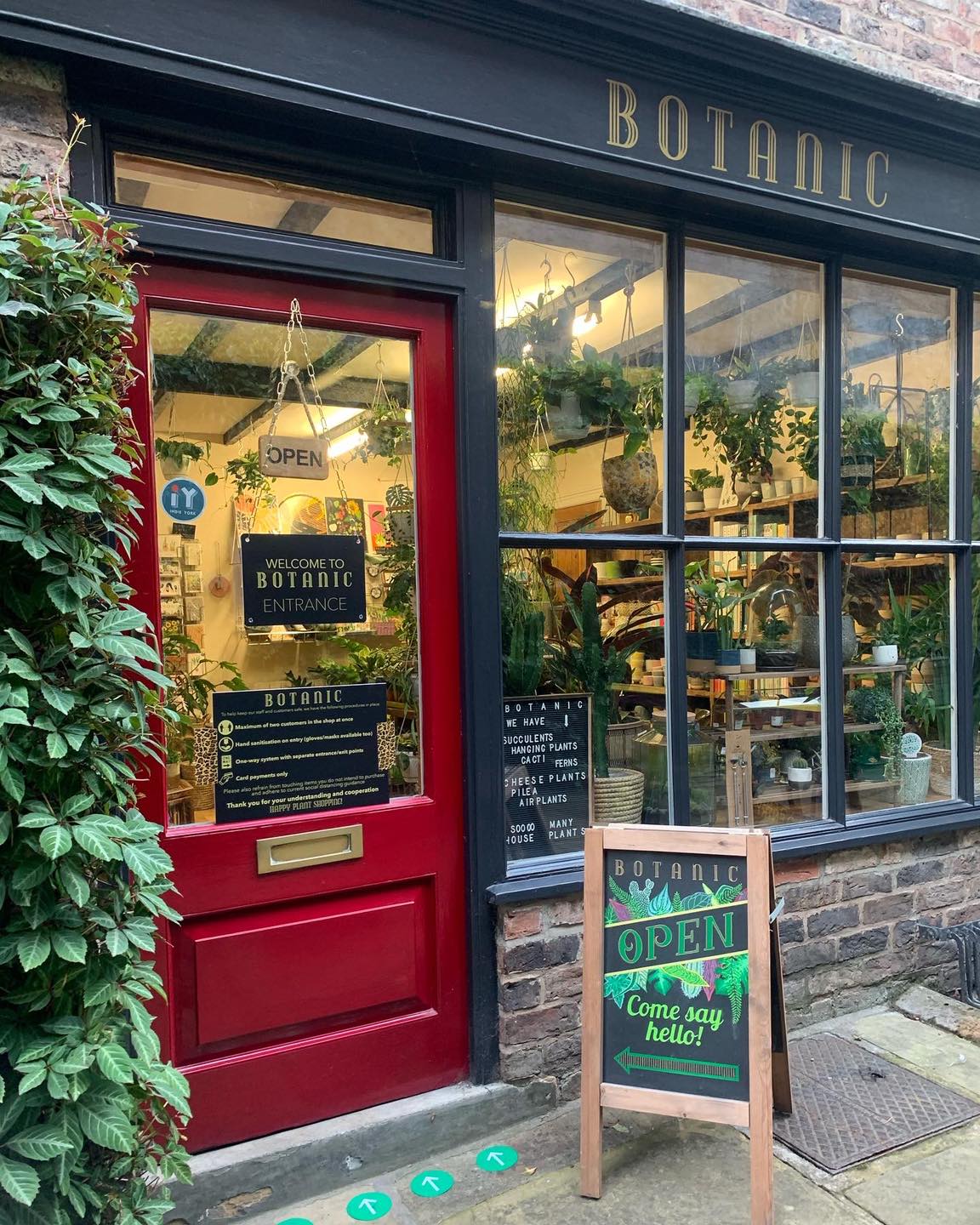 Botanic - 🌱 WE’RE READY TO REOPEN!!!! 🎉 Team Botanic (with...