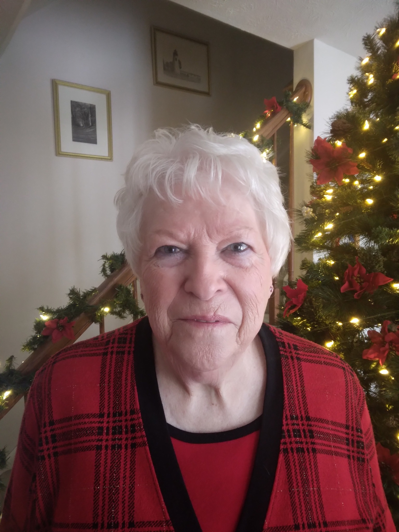 Monday Meal Rescue - unboxing new holiday products! | Anna Vierling