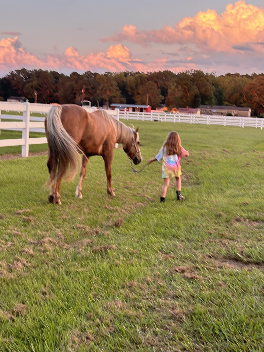 Silverbit Stables | Jacksonville NC